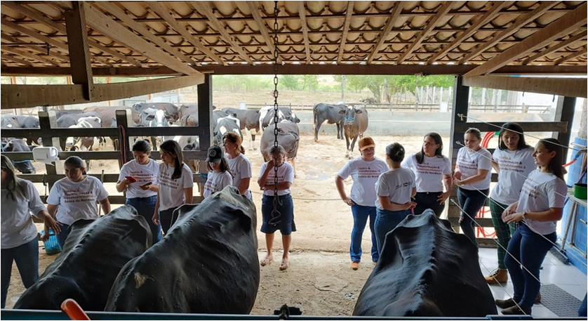 Prodeter financia R$ 70 milhões para bovinocultura em Sergipe
