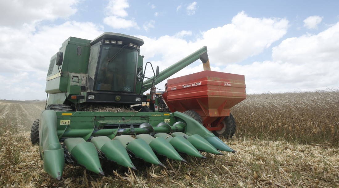 Sergipe conquista topo do ranking brasileiro com maior produtividade de grãos na safra 2024