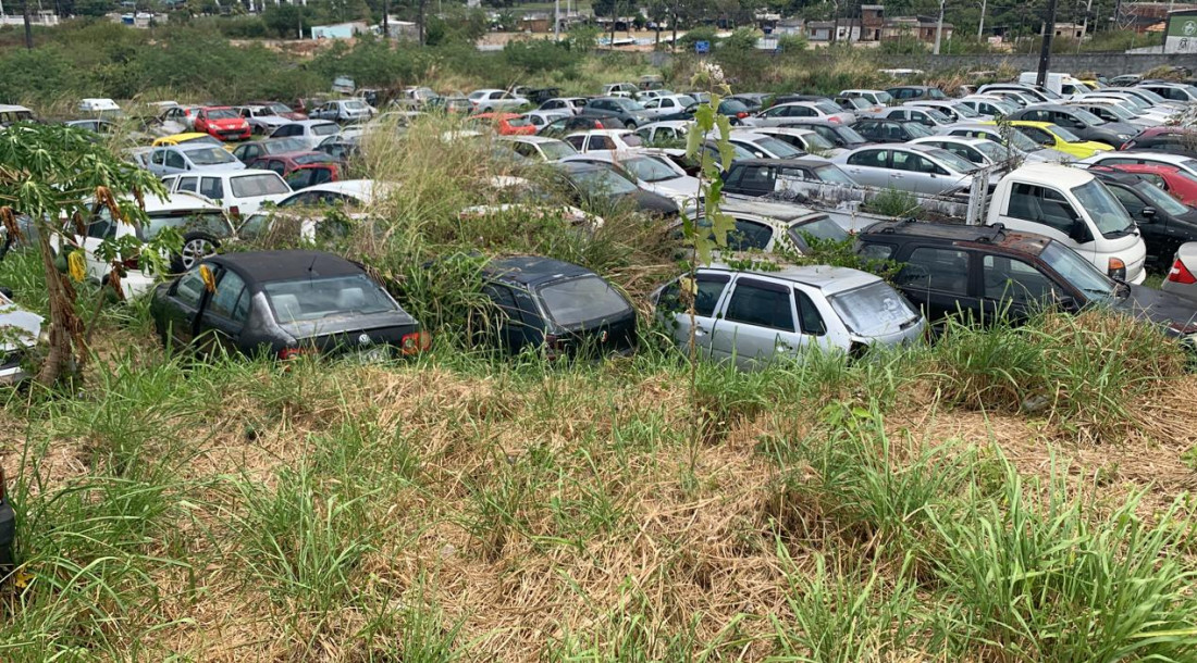 Polícia Civil retira 254 veículos de pátios de delegacias e amplia capacidade técnica