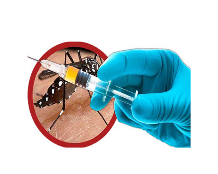 Anunciada vacina 100% nacional contra a dengue no SUS em 2026