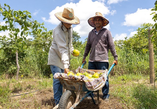 Agricultores familiares poderão contar com aplicativo para manejo de irrigação