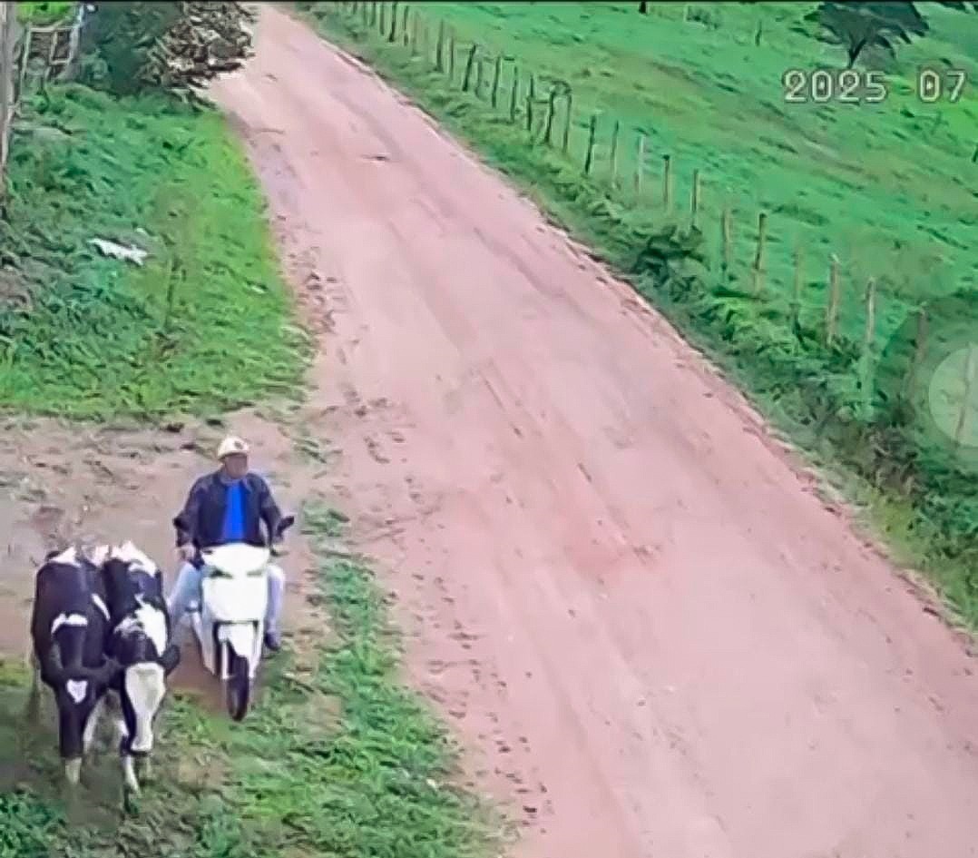 Identificado e preso autor de furto de gado no interior de SE