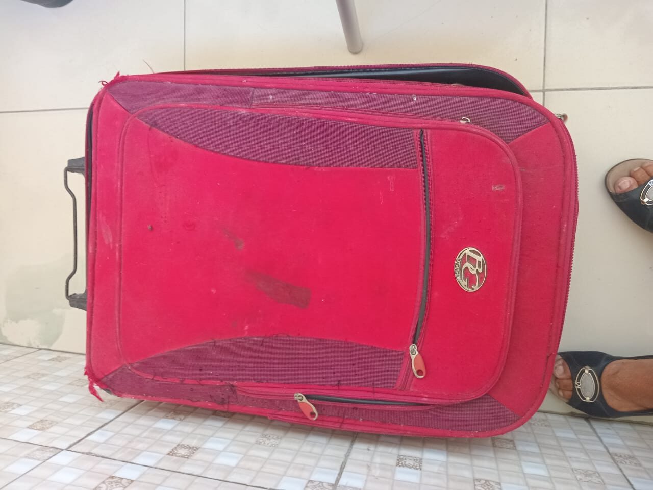 Suspeito de matar cadela e colocar corpo do animal numa mala é preso