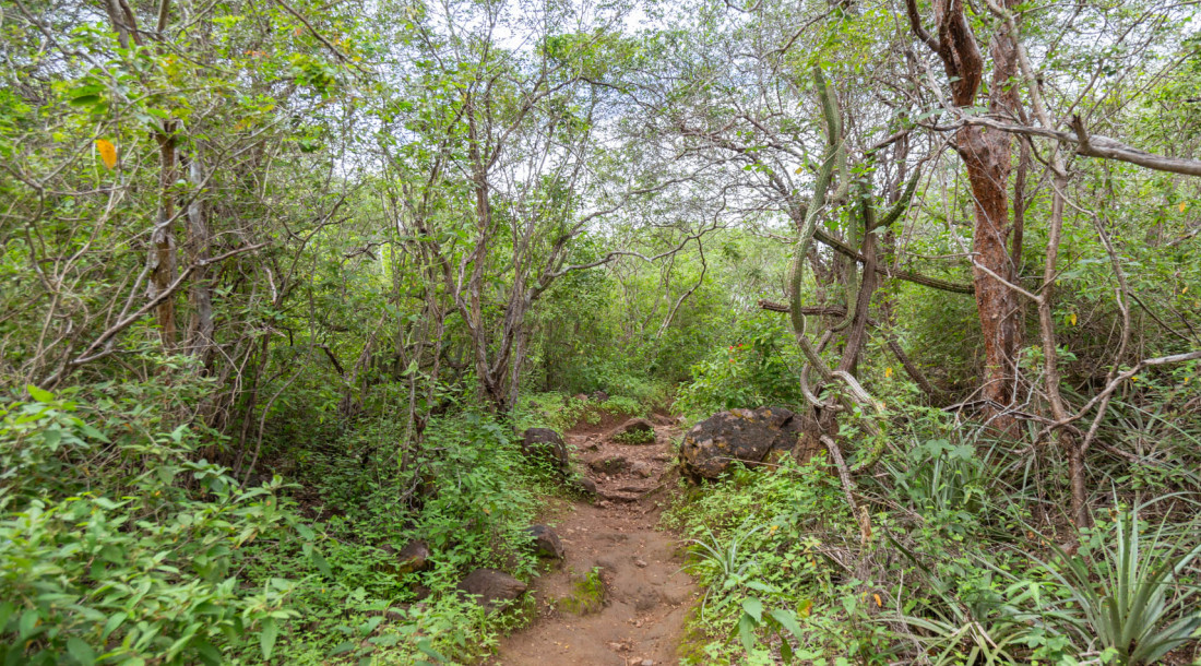 Sergipe permanece sem seca grave no mês de agosto