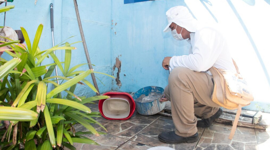Simão Dias apresenta alto risco de infestação do Aedes aegypti