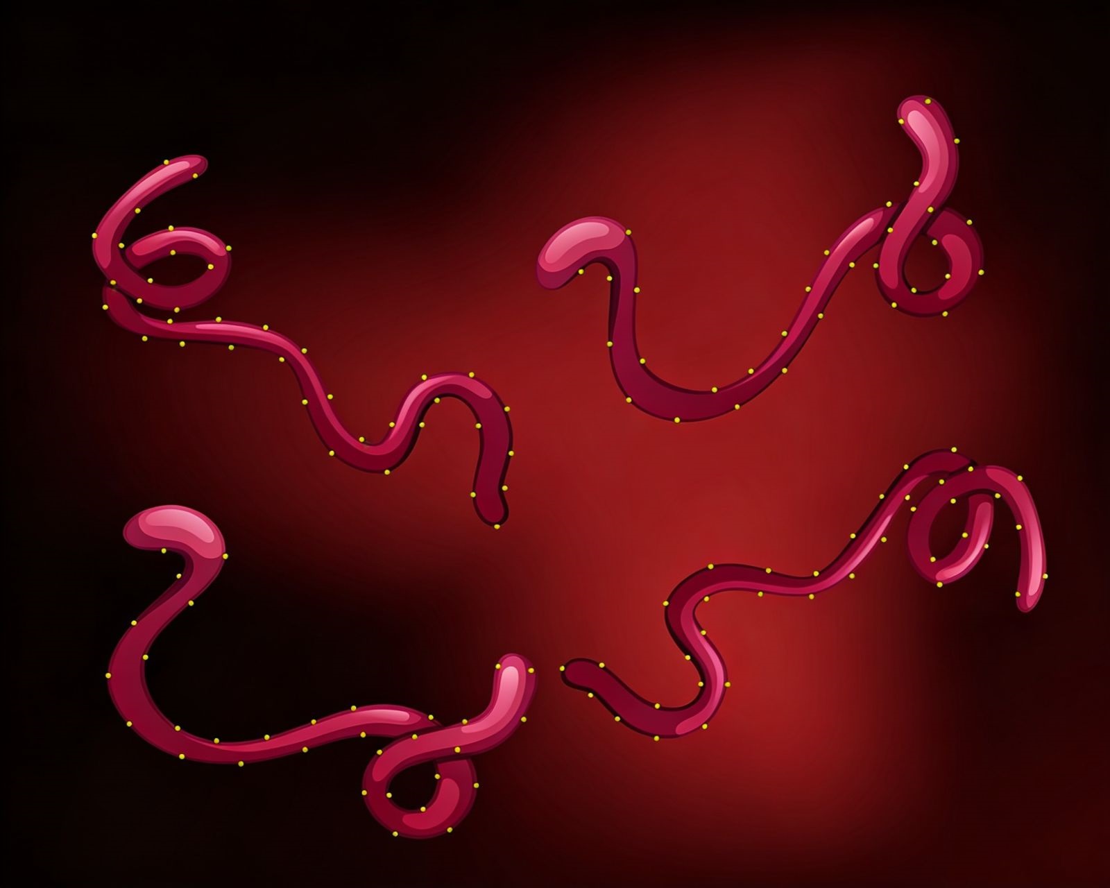 ebola-acende-alerta-global-mas-risco-para-o-brasil-segue-baixo