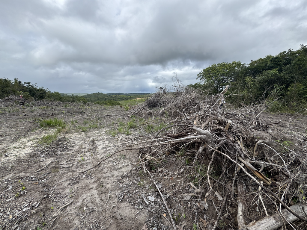 operacao-mata-atlantica-em-pe-2026-autua-mais-de-10-hectares-de-desmatamento-ilegal-em-sergipe