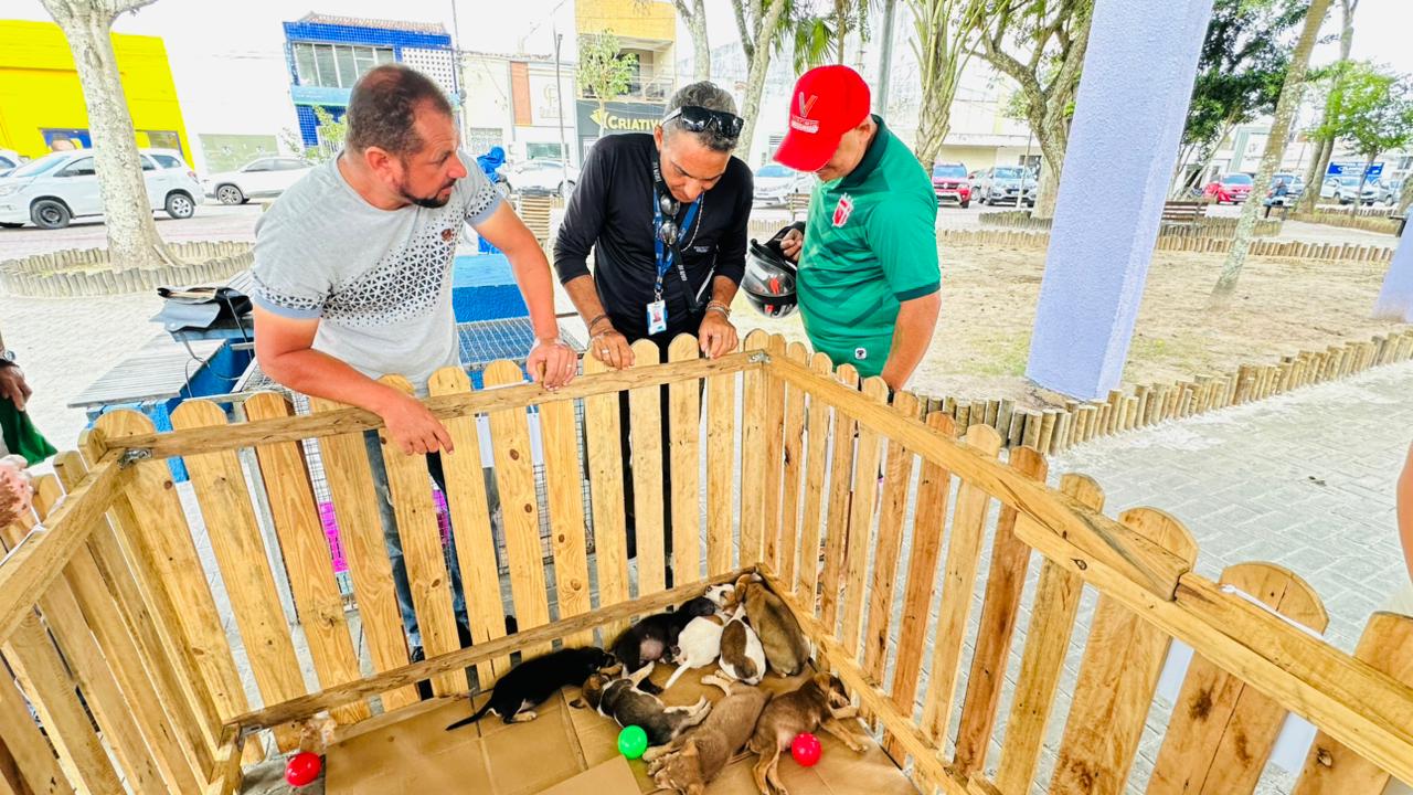 feirinha-de-adocao-animal-ja-deu-novo-lar-a-50-animais-nos-ultimos-quatro-meses-em-lagarto